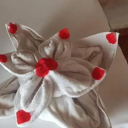 Iazzo Annunziatella B&B לינה וארוחת בוקר לטרצה